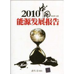 2010中國能源發展報告