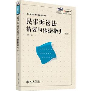 民事訴訟法精要與依據指引