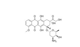 蒽環類抗生素