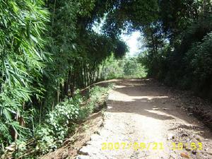 下東蚌自然村進村道路