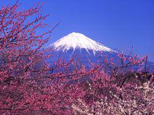 富士山的風景