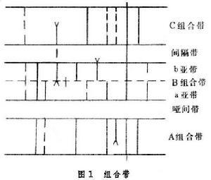 生物醫學遙測