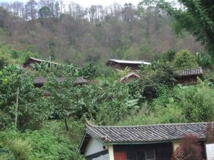 老普山村