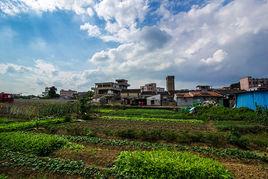 平山村[雲南省文山州廣南縣蓮城鎮平山村]