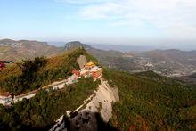 照金香山