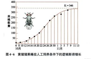 邏輯斯諦增長