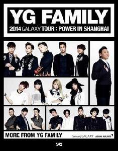 2014YGFamily音樂盛典