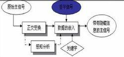 信息隱藏的流程圖