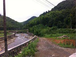 徐岙村[浙江省溫州市泰順縣徐岙村]