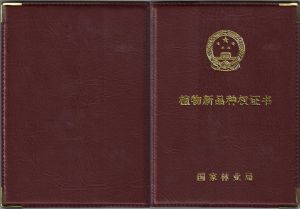 植物新品種權證書