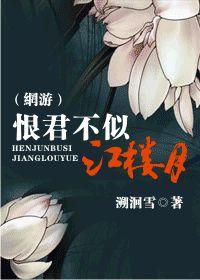 恨君不似江樓月[溯洄雪所寫小說]