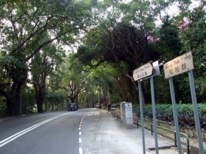 （圖）青山公路 - 古洞段，近松柏塱一帶。