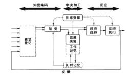 人的信息加工模型