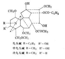 生草烏