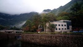 黃山樹木園