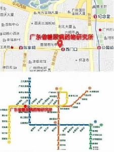 廣東省藥物研究所糖尿病治療中心