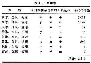 基因定位