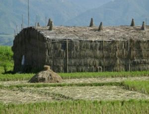 王家寨村[雲南省德宏州梁河縣河西鄉]