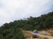 雲霧禪林寺