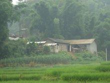 廣門自然村[雲南德宏潞西市芒市鎮拉懷村委會廣門自然村]