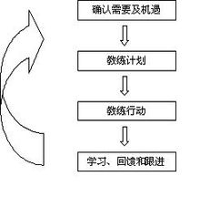 企業教練