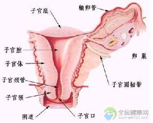 生殖器念珠菌病