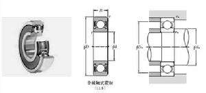 NTN 6003LLB軸承