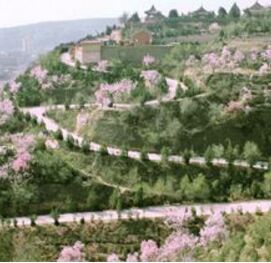 西岩山森林公園