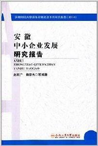 安徽中小企業發展研究報告