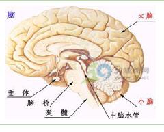 手足徐動症