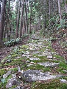 熊野參拜道小邊路