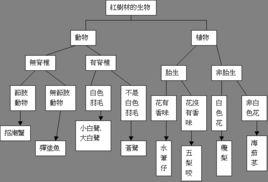 植物檢索表