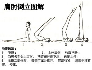 肩肘倒立圖解