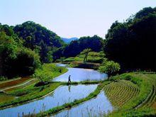 龍灣鎮[廣東省羅定市龍灣鎮]