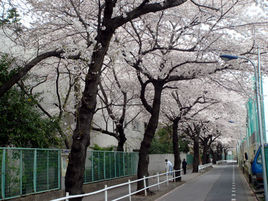 日本東京家政大學