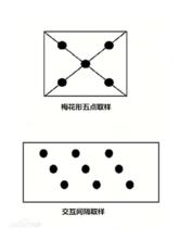 圖1 採樣點布設方法