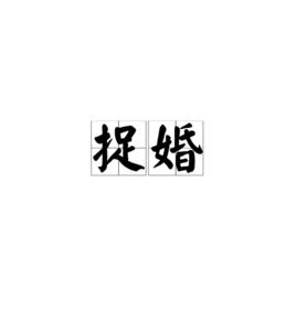 捉婚[詞語]