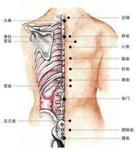 人體學位