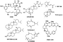 潘鑫復