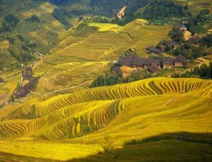 登山梯田