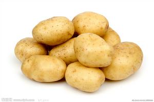 Solanum tuberosum