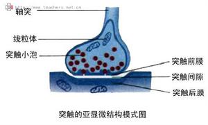 生物學