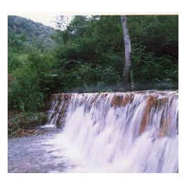 大黑山國家森林公園