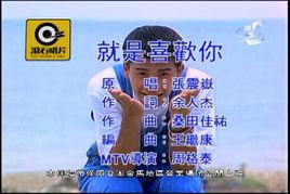 就是喜歡你[張震岳演唱歌曲]