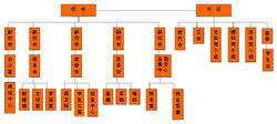 學校的組織機構圖