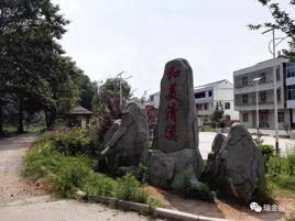 清溪村[江西省瑞金市九堡鎮清溪村]