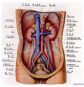 運動性腹痛