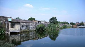 大洲村[廣西融安縣長安鎮大洲村]