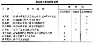 蛋白質生物合成