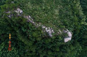 龍潭寨[安徽省太湖縣景點]